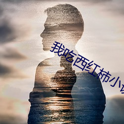 我吃西紅柿小說