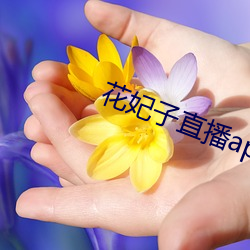 花妃子直播app