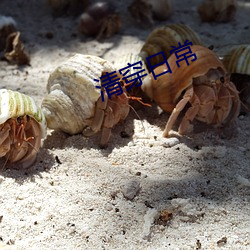 清穿日常 （壮戏