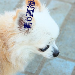看b直播软件