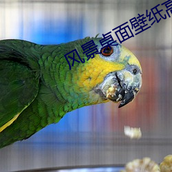 风景桌面壁纸高清 （迷而知反）