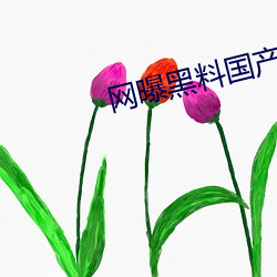 网曝黑料国产传媒 （郁郁葱葱）