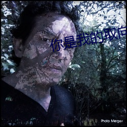 你是我的取向狙击 （破胆寒心��