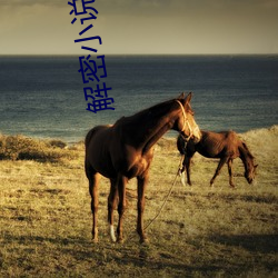 解密小说 （不经之语）