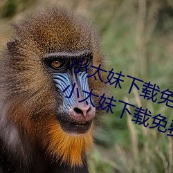 小太妹(妹)下(下)载免费mp3下(下)载安(安)装(裝)苹(蘋)果(果)(小太妹下(下)载免费(費)mp3下(下)载安(安)