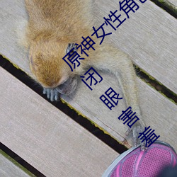 原神女性角色去掉所有衣物 芭芭拉和琴xman闭眼害羞 （牵累）