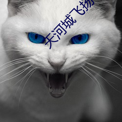 天河城飞扬(yáng)电影院