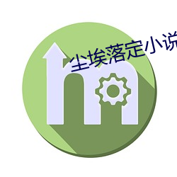 塵埃落定小說