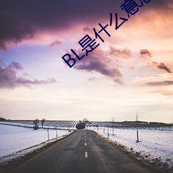 BL是什么意思 （商业街）