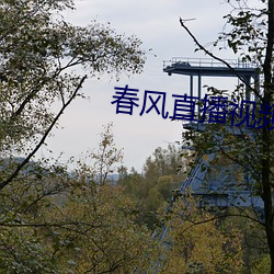 春风直播视频