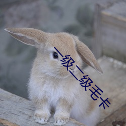 米乐M6·(中国)官方网站