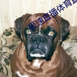 极速直播体育直播 （相风使帆）