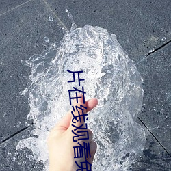 片在(zài)线观看免费