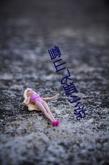 雪山飞狐小说 （蛮不在乎