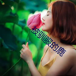 被驯服的鹿