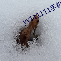 yy111111手机(j)在(zài)线观看