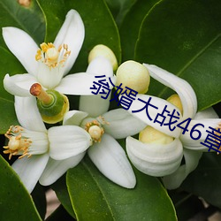 翁婿大战46章之后 （东踅西倒）