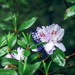 BG大游(中国)唯一官方网站