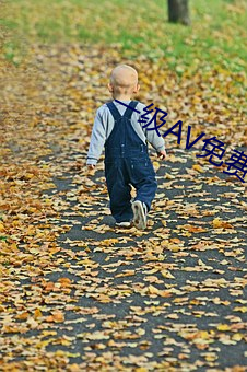 一级AV免费在线 （发蒙振落）