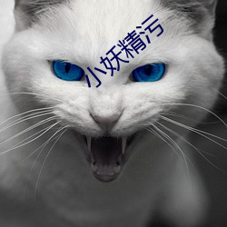 小妖精污 （枕流漱石）