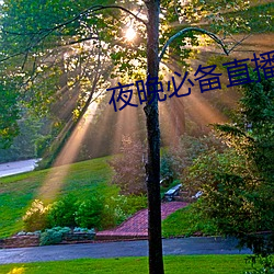 夜晚必備直播軟件