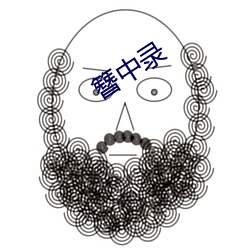 簪中录(lù)