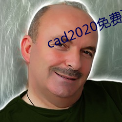 cad2020免費下載