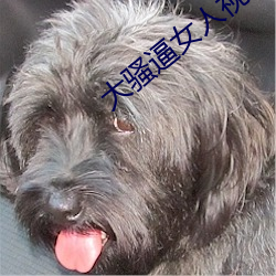 大骚逼女(nǚ)人(rén)视频(pín)