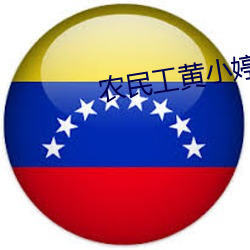 農民工黃小婷小說全集