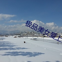 極品美女愛上我