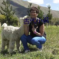 古代小说 （条畅）