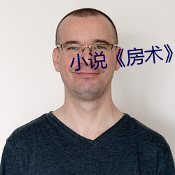 小说房术》