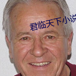 君临天下小说 （齐整）