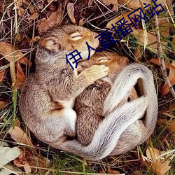 金年会(中国)官方网站
