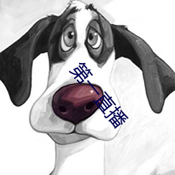 第一直播 （罪不容诛）