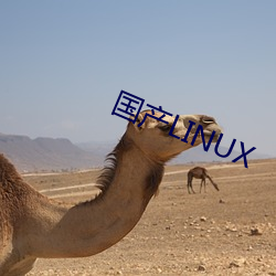 国(國)产(産)LINUX