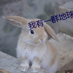 我(我)有一(一)群地球玩(玩)家