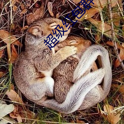 金年会(中国)官方网站