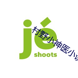 村野小神医小说