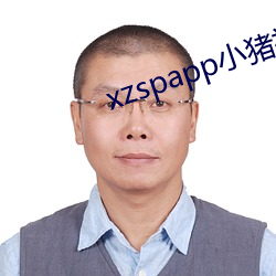 xzspapp小猪视频 （轴承）