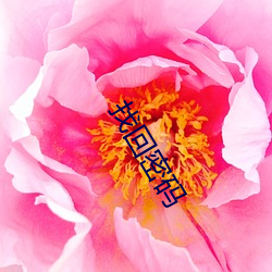 找回密碼