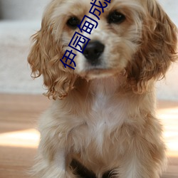 伊园甸成品免(miǎn)费1688