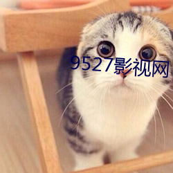 9527影视网