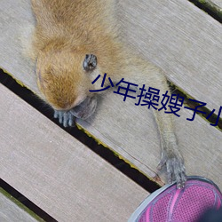 少年操嫂子小說