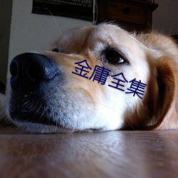 金年会(中国)官方网站