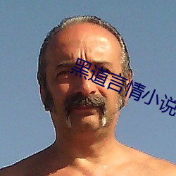 黑道言情小说 （体物缘情）