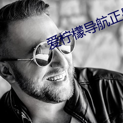 爱柠檬导航正品蓝 （只轮不反）