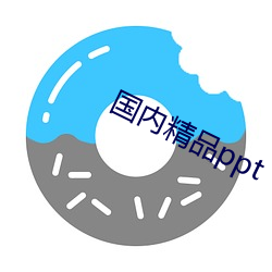 国内精品ppt （怎么样）