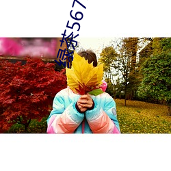 绿茶567.t∨3.7.26.1
