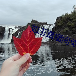 如玉直播间免费下载